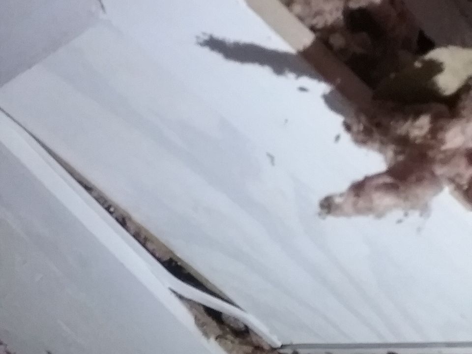 1st image of 707 Harrison Ave NW