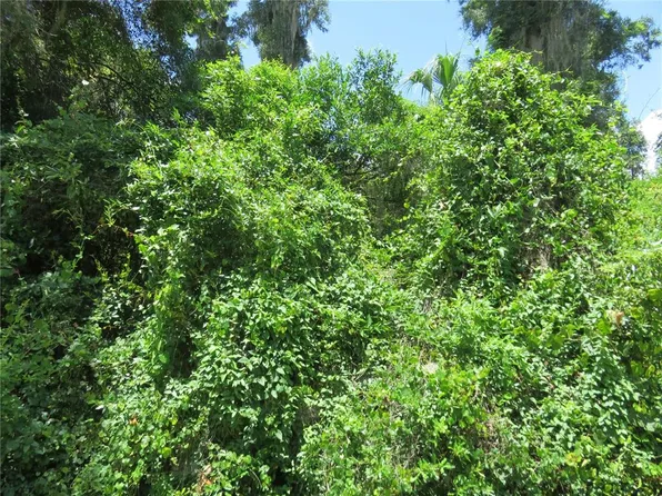 0 SE 142nd Pl Lot 25-27, Summerfield, FL 34491