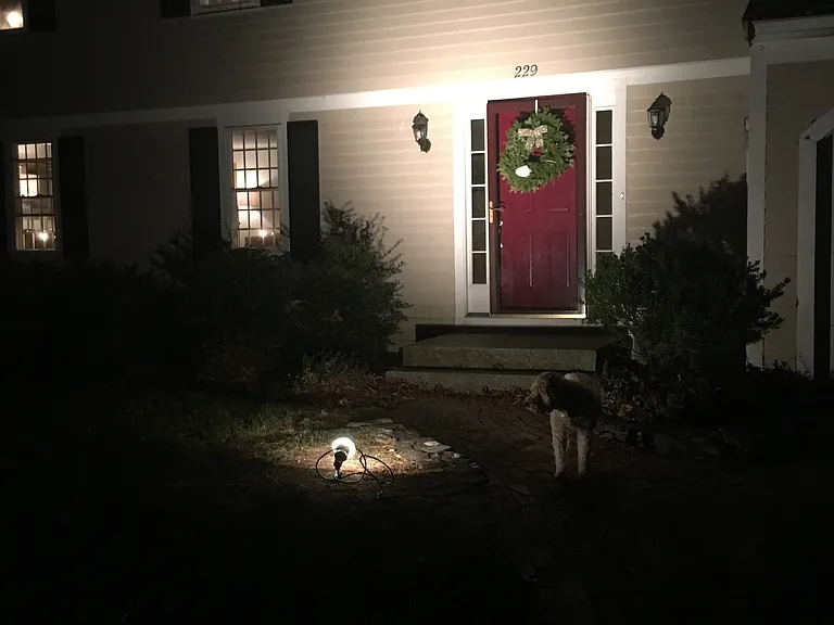 229 Surplus St — Photo 16