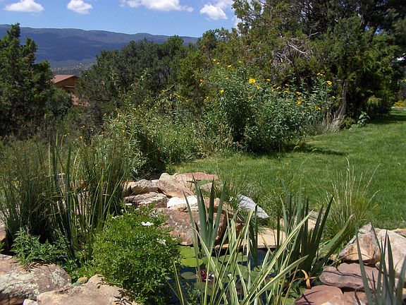 pond view
