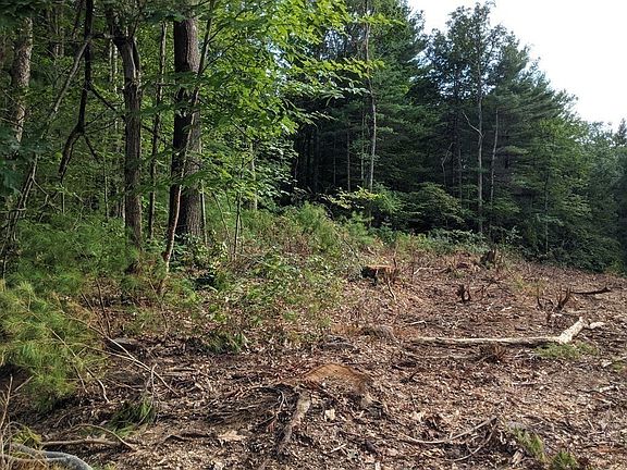5th image of LOT 11 Old County Rd