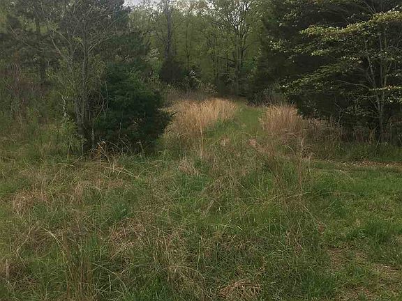 3rd image of 878 Dogwood Cir