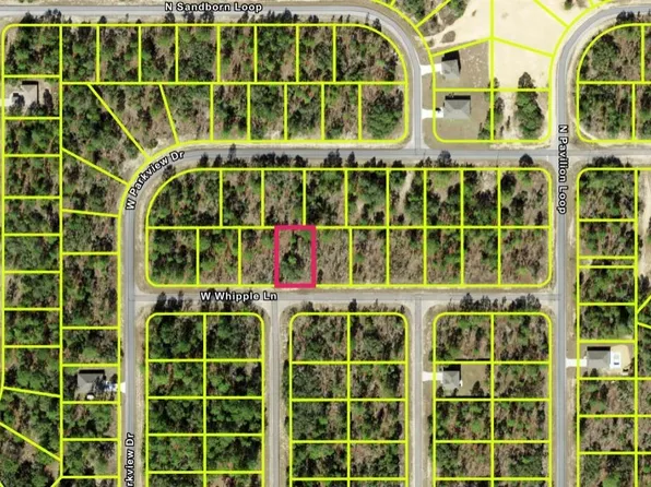 3593 W WHIPPLE LANE, DUNNELLON, FL 34433
