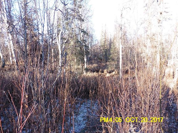 3rd image of 21098 S Parks Hwy