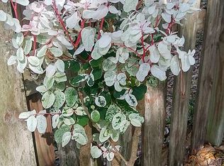 616 Badger St, Sebastian, FL 32958