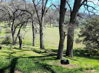 19237 Buchanan Rd, Mi Wuk Village, CA 95379