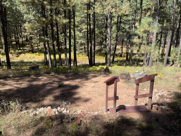 2215 Joe Springs Dr, Forest Lakes, AZ 85931