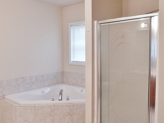 Spa tub & stand up shower in master bathroom