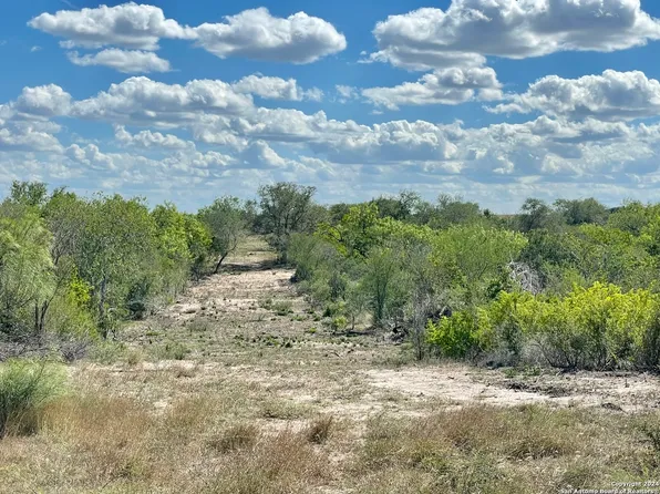 40.74+/- ACRES CR 136, Kenedy, TX 78119