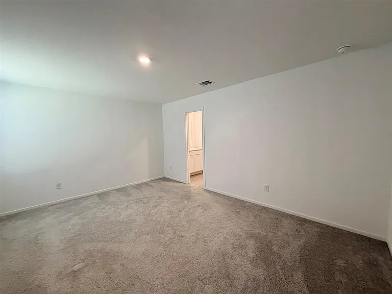 1511 Rose Blush Ln — Photo 8
