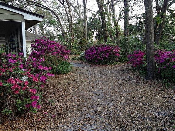 3rd image of 1241 Hollyridge Trl