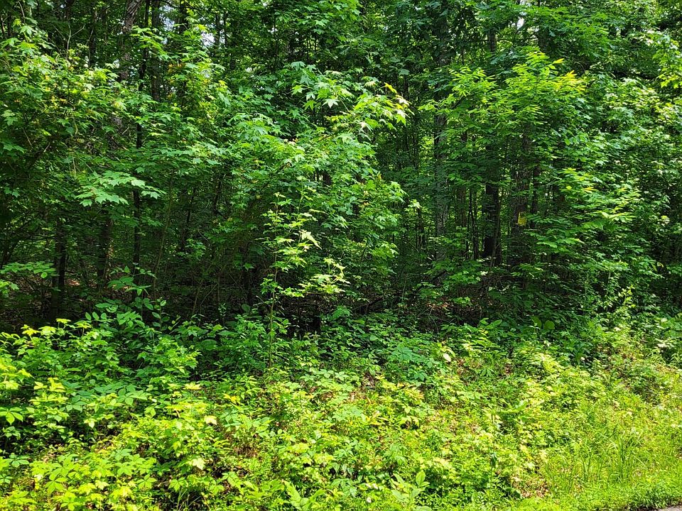 1st image of Ford Rd