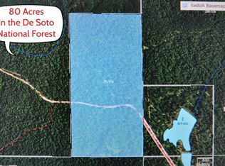 0 Tv Tower Rd, Perkinston, MS 39573