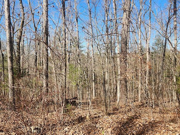 2nd image of 0 Brown Creek Dr #134