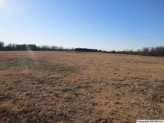 5th image of 1773 County Road 449