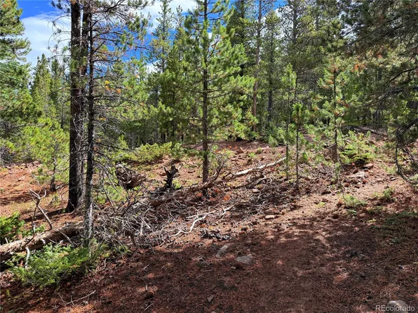 LOT 3187 Purnell Lane, Fort Garland, CO 81133