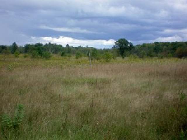 2nd image of 55 On Hwy