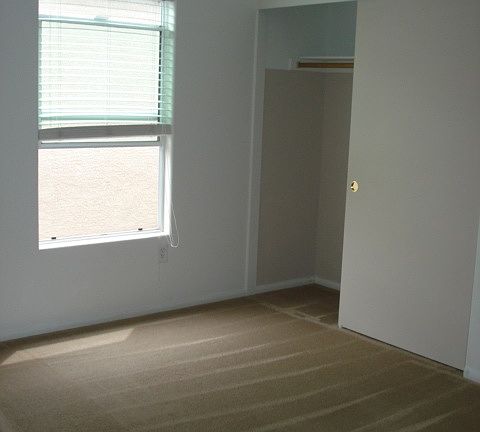 3rd image of 2717 Cedar Bird Dr