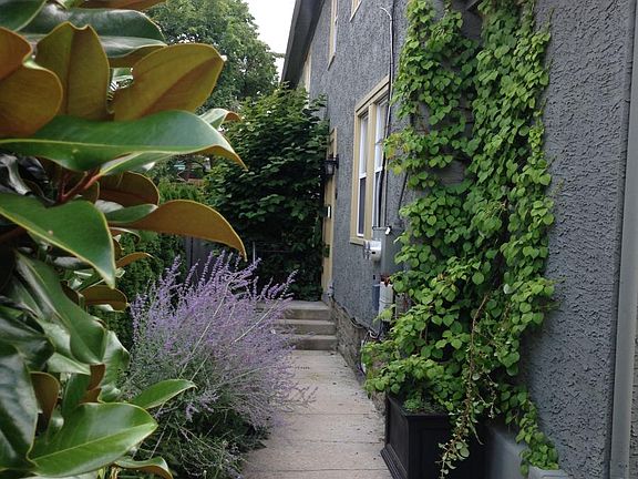 Sise to Front Door 19A