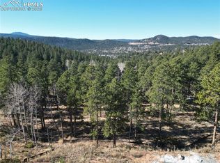 1410 Red Haven Pl, Woodland Park, CO 80863