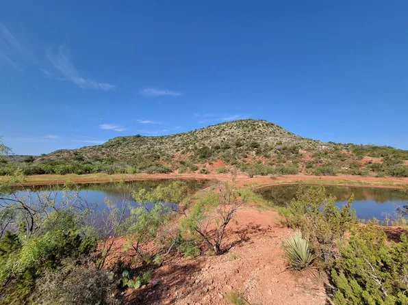 0 Poverty Canyon Rd #See, Bronte, TX 76933