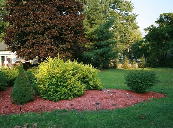 Large 1.2 acre village lot.