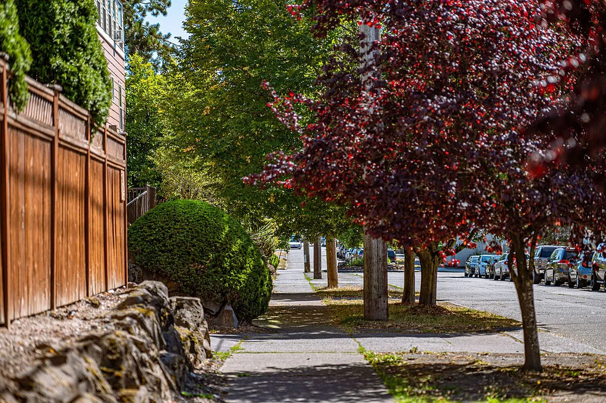 Building Photo - Bayview Apartments | Bright Units with Easy Transit Options