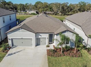12095 Orchid Ash St, Riverview, FL 33579