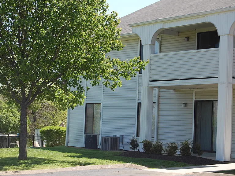 Massman Manor & Starlight Apartment — Photo 5