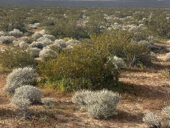 2nd image of Freeman Rd