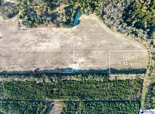 5.34 Acres Tract #5, Manning, SC 29102