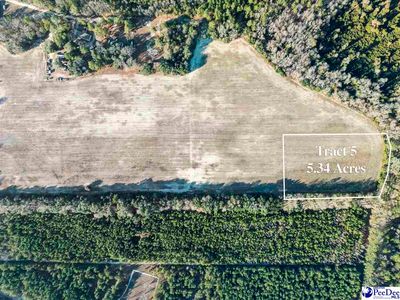 5.34 Acres Tract #5, Manning, SC, 29102