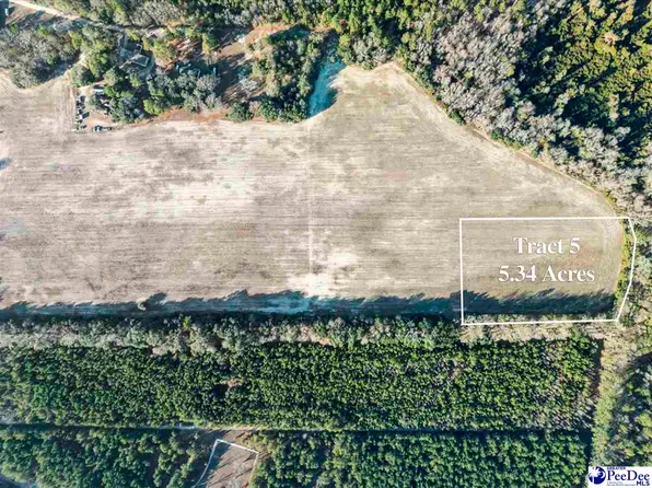 5.34 Acres Tract #5, Manning, SC 29102