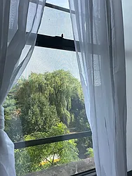 Rented by Avenues Real Estate