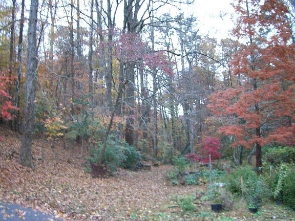 2nd potential home site