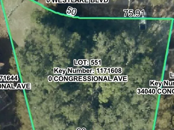 34036 Congressional Ave, Ridge Manor, FL 33523