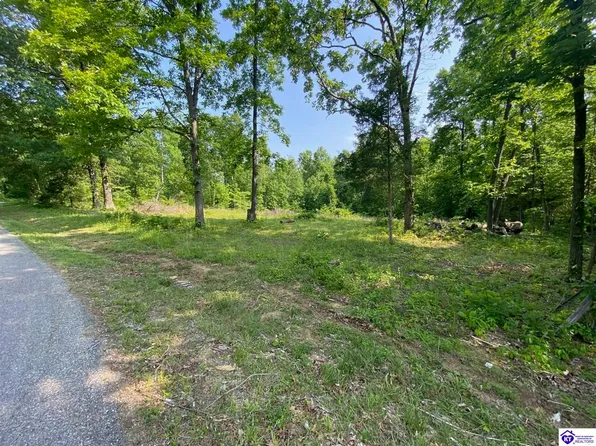 840 Bud Wilson Rd, Brandenburg, KY 40108