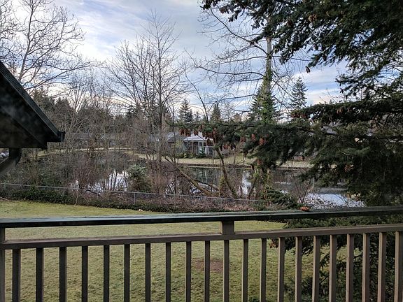View of Swan Lake