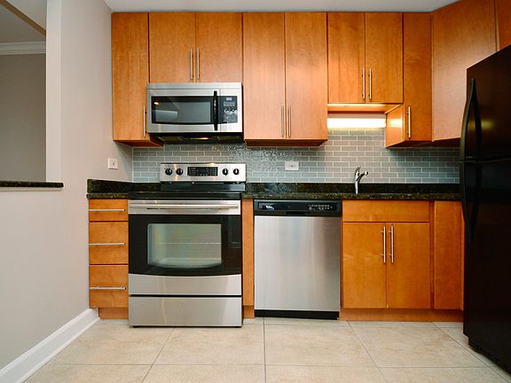 5th image of 1560 N Sandburg Ter APT 3209