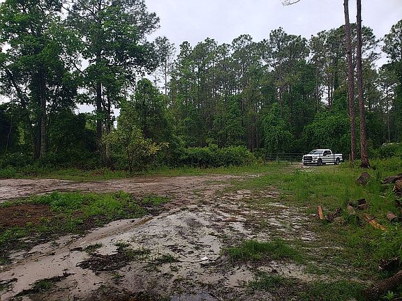 4th image of 1563 Papaya St