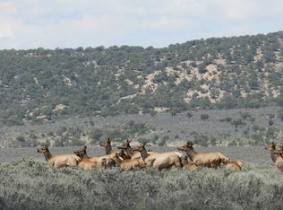 2974 Patricia Rd, Fort Garland, CO 81133