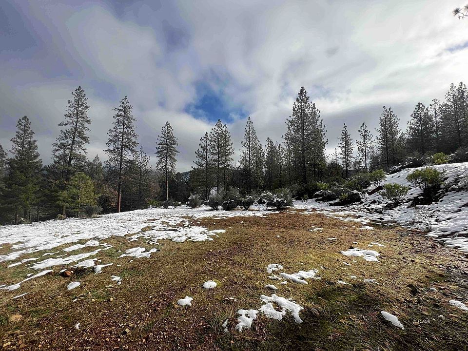 1st image of 167 S Ponderosa Pne