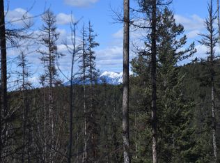 205 Timberjack Trl, Bigfork, MT 59911