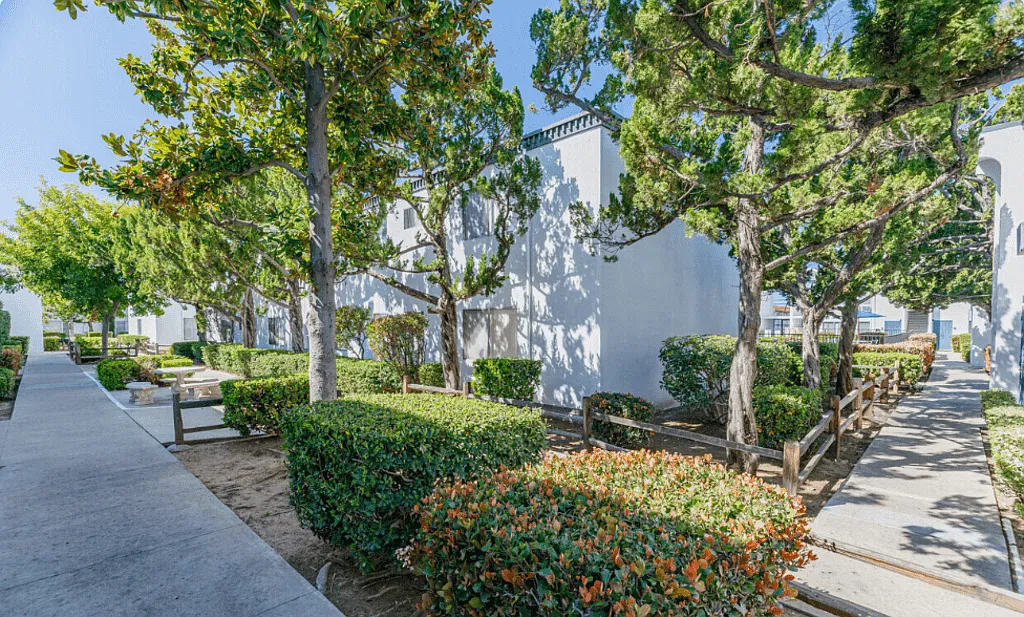 The Arches Apartments — Photo 4