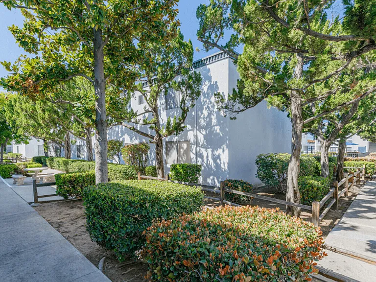 The Arches Apartments — Photo 4