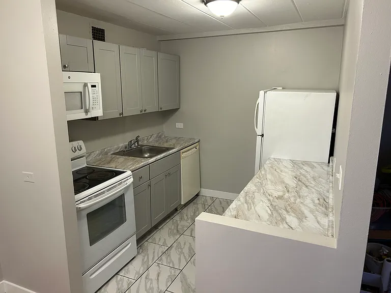 6160 N Damen Ave #408 — Photo 3