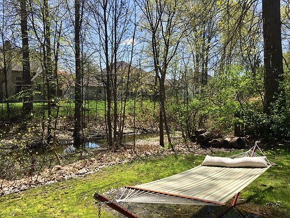 Creek in backyard  