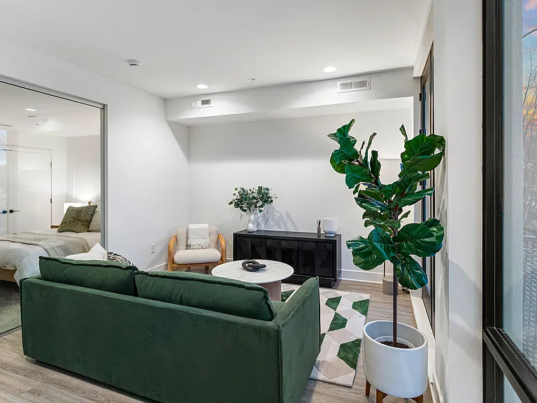 Bonsai Apartments — Photo 11
