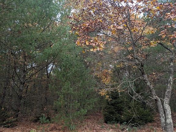 2nd image of W Crystal Lake Rd