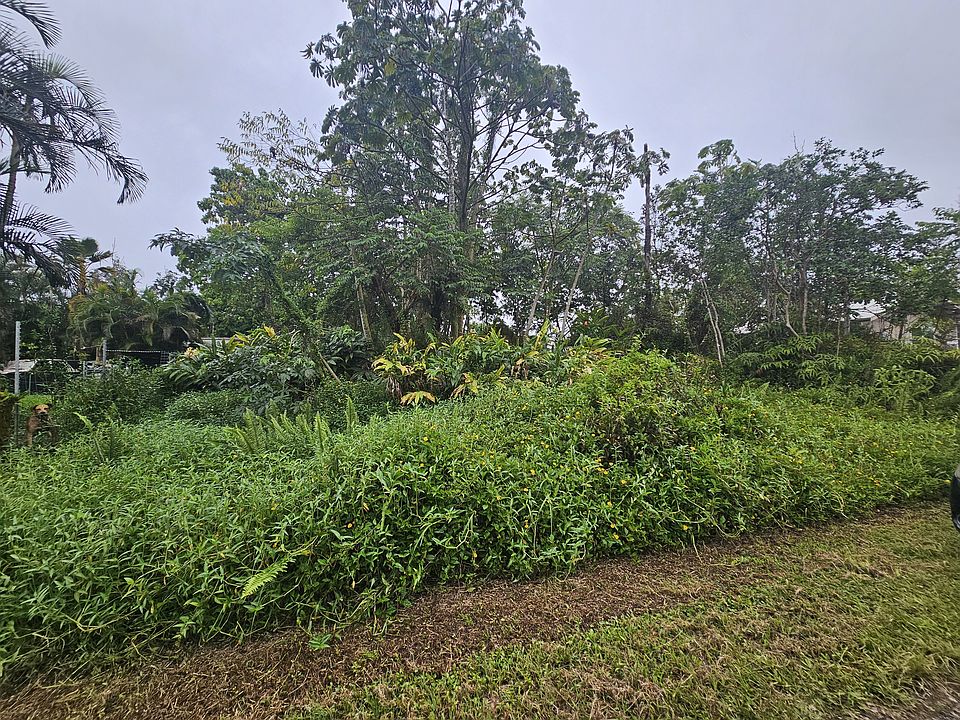 1st image of Bamboo Dr Lot 20